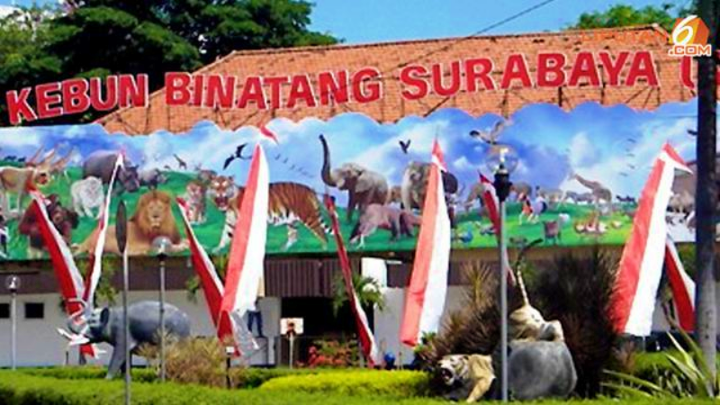 Kebun Binatang Surabaya